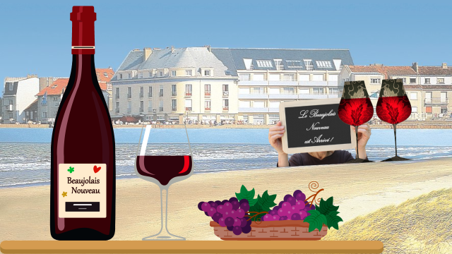 beaujolais 2022 (1)