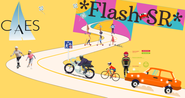 Flash SR1
