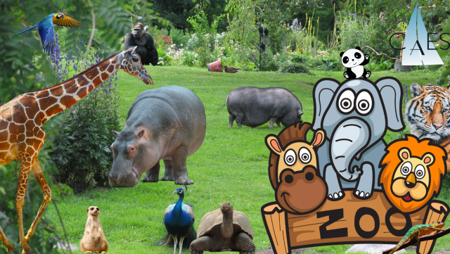 zoo 2023